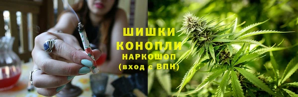 спиды Болхов