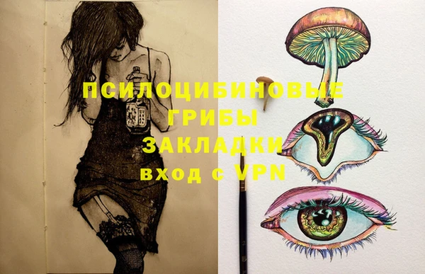мдпв Нягань