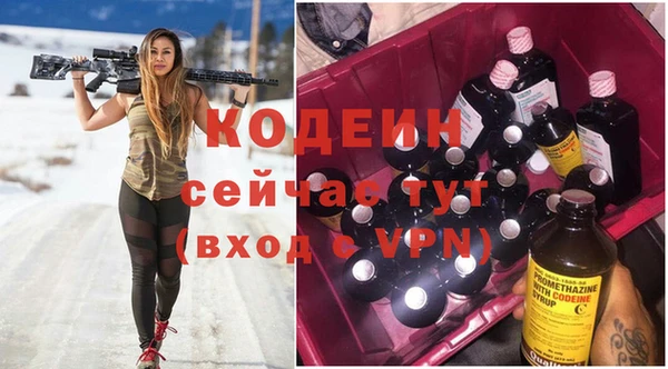 соль ск Абаза