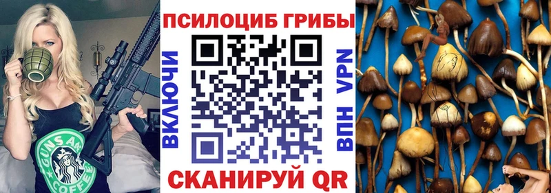 купить   Спас-Клепики  кракен tor  это официальный сайт  Псилоцибиновые грибы мицелий 