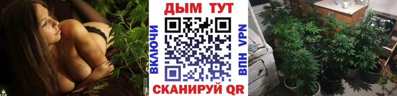 МАРИХУАНА план  Спас-Клепики 